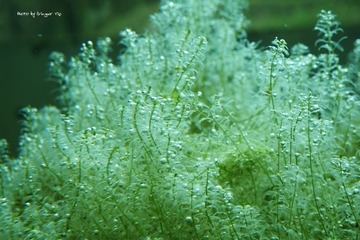P1010811