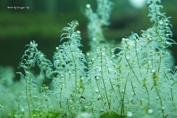 P1010815