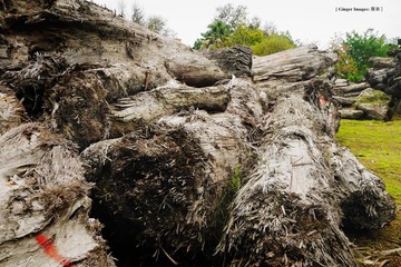 P1030014