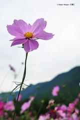 P1030777