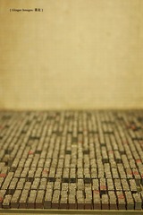 P1000509