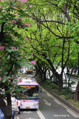 P1020146
