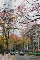 P1020369