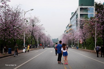 P1020640