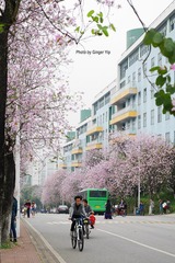 P1020646