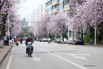 P1020654