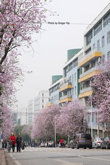 P1020656