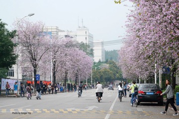 P1020663