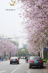 P1020665