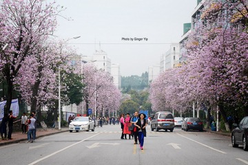 P1020669