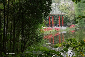 P1020394