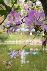 P1020406