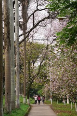 P1020413