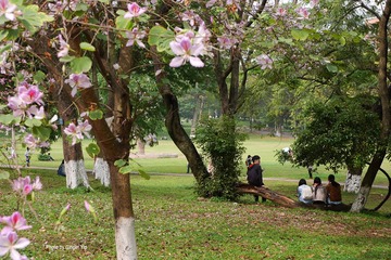 P1020415