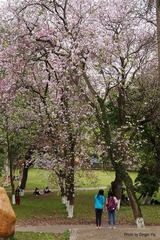 P1020423