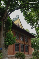 P1020425