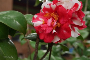 P1020426