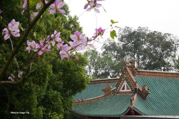 P1020435