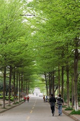 P1020489