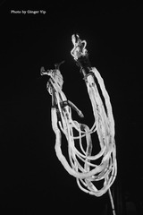 P1020727
