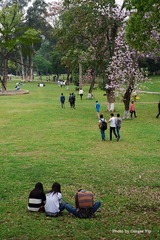 P1020498