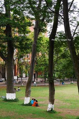 P1020499