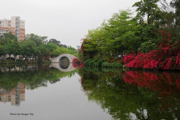 P1020511