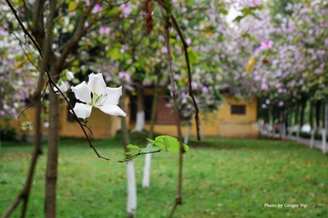 P1020539