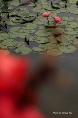 P1020598