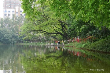 P1020609