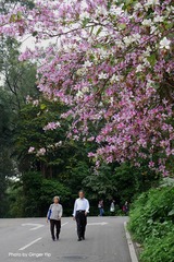 P1020628