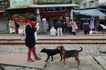 P1020452