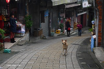 P1020485