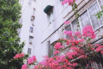 P1020210