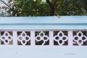 P1020286