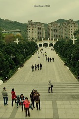 P1000590
