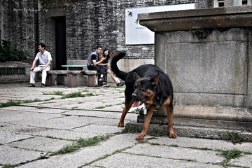 P1030408