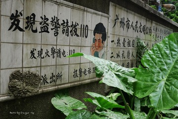 P1030628