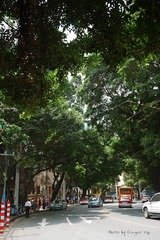 P1030639
