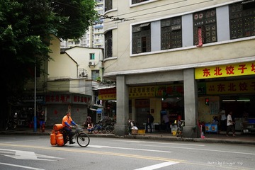 P1030647