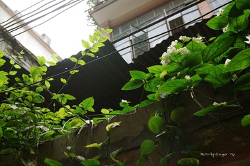 P1030732