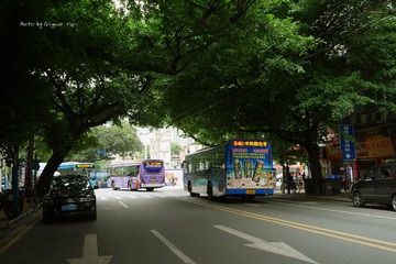 P1030739