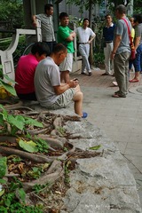 P1030747