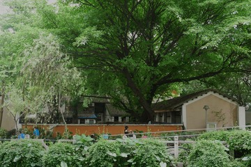 P1030749
