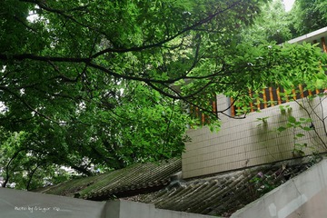 P1030755
