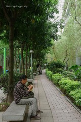 P1030832