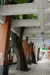 P1030771