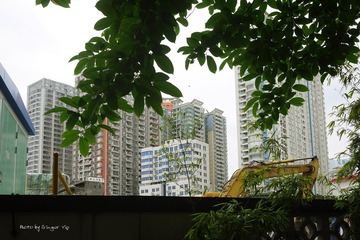 P1030835