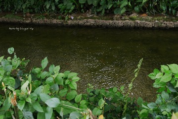P1030840