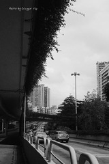 P1030892